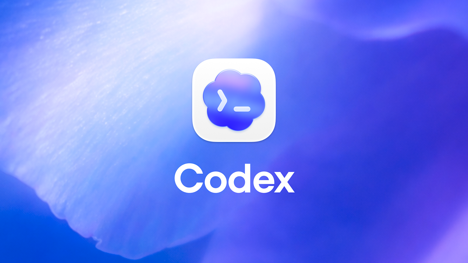 Hướng dẫn chi tiết sử dụng CLI Proxy API cho Codex - vnROM